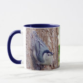 Mok van de witte zeebrasem Nuthatch Bird (Links)