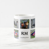 Mok van diverse vogelkolonies #1 (Center)