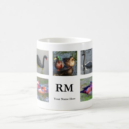 Mok van diverse vogelkolonies #1 (Center)