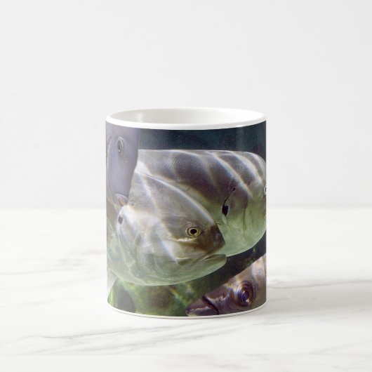 Mok van Fish Art Morph (Center)
