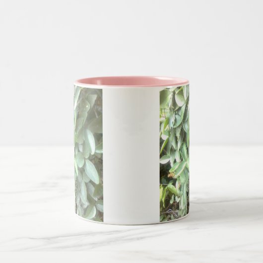 mok van foto's van hoge kwaliteit (Center)