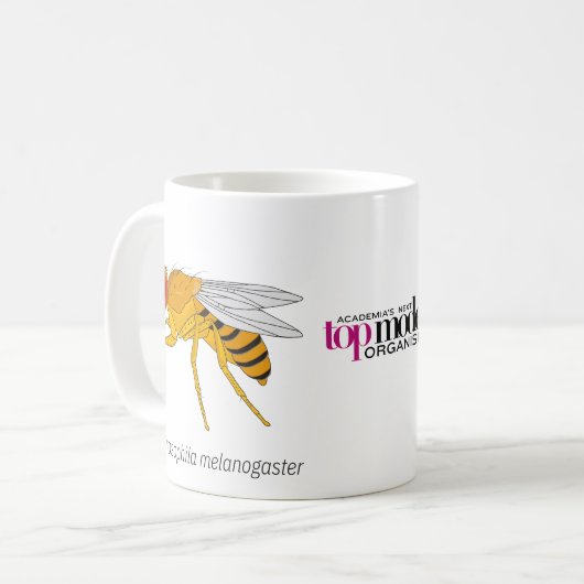 Mok van fruitvliegen (Voorkant links)