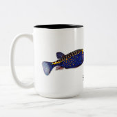 Mok van gebottvissen, ostracion meleagris (Links)