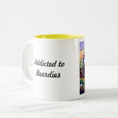 Mok van gedekte collie (Voorkant links)