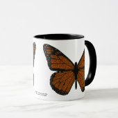 Mok van gedopte Monarch (Voorkant rechts)