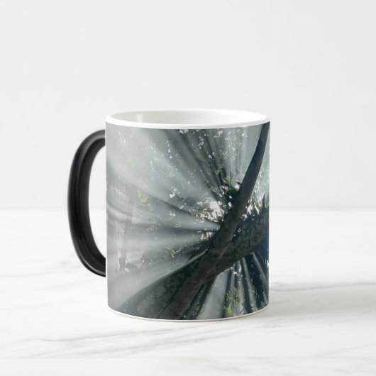 Mok van gekanaliseerde bossen (Voorkant links)