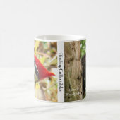 Mok van gepileerde specht (Center)