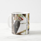Mok van gepileerde Woodpecker door BirdingCollecti (Voorkant links)
