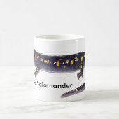 Mok van gepolijst salamander (Center)