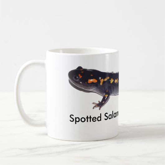 Mok van gepolijst salamander (Links)