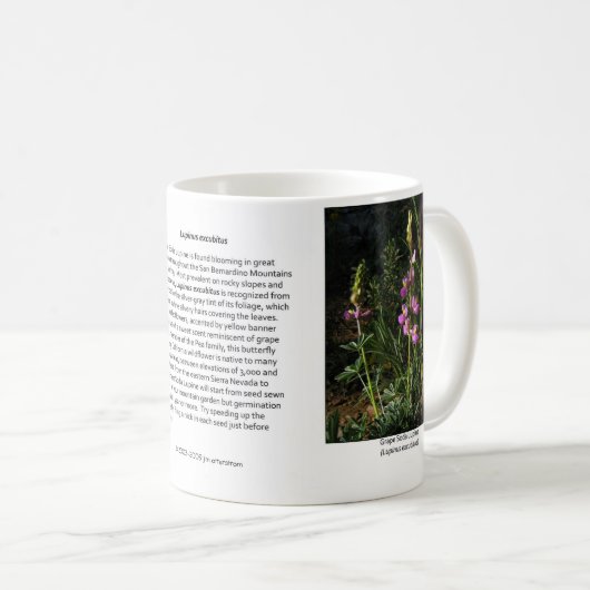 Mok van graaf Soda Lupine Coffee (Voorkant rechts)