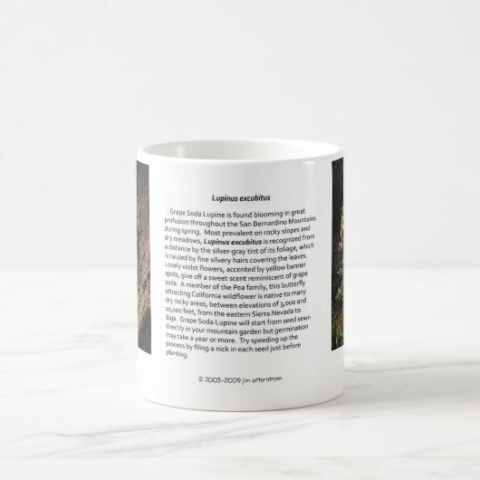Mok van graaf Soda Lupine Coffee (Center)