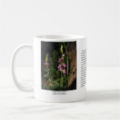 Mok van graaf Soda Lupine Coffee (Links)