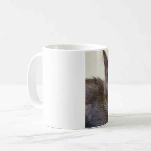 Mok van grijze katten (Voorkant links)