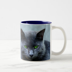 Mok van groene geoogste katten