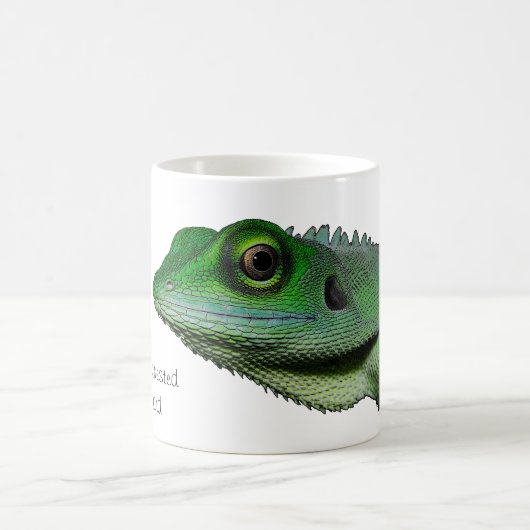 Mok van groene hagedis (Center)