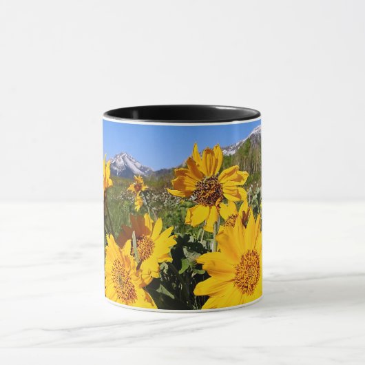 Mok van het nationaal park Waterton Lakes (Midden)