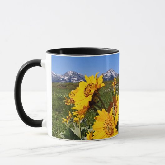 Mok van het nationaal park Waterton Lakes (Links)