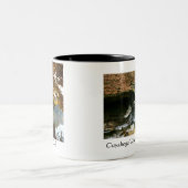 Mok van het nationale park Cuyahoga Valley (Center)