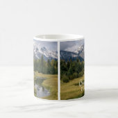 Mok van het nationale park Grand Teton (Center)