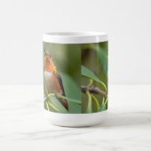 Mok van kalkoenen (Center)