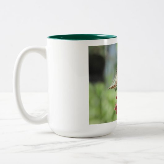 Mok van kalkoenen (Links)