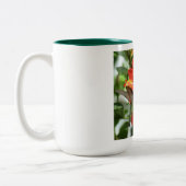 Mok van kalkoenen (Links)