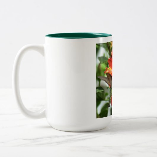 Mok van kalkoenen (Links)