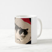 Mok van katten (Voorkant rechts)