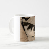 Mok van katten (Voorkant links)