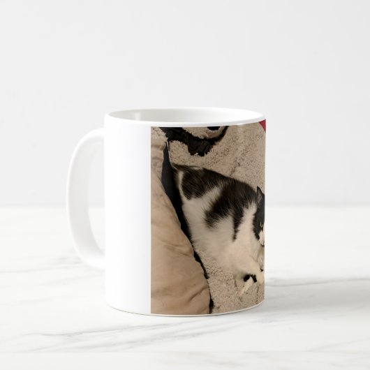 Mok van katten (Voorkant links)