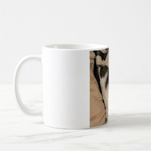 Mok van katten