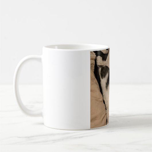 Mok van katten (Links)