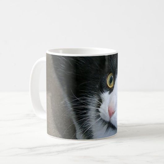 Mok van katten (Voorkant links)