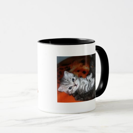 Mok van katten en katten (Voorkant rechts)