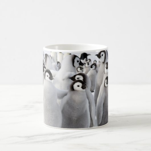 Mok van keizerboten (Center)