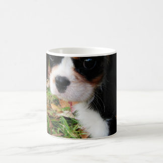 Mok van King Charles Cavalier Spaniel