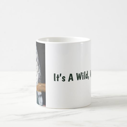 Mok van kippen (Center)