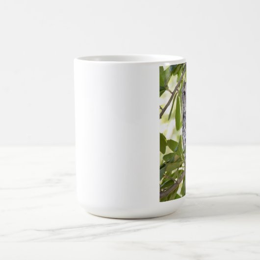 Mok van kippen (Center)