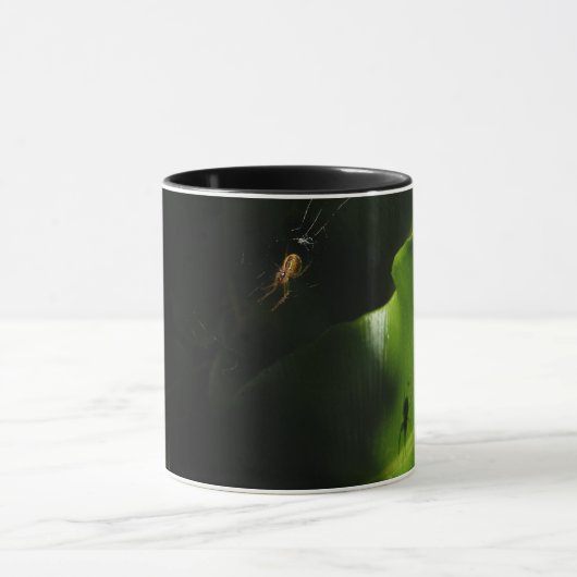 Mok van kleine spin (Midden)