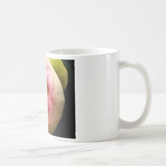 Mok van Lotus flower-koffie