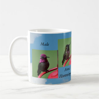 Mok van mannelijke Ann'a Hummingbird