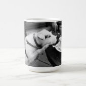 Mok van Manny (Center)