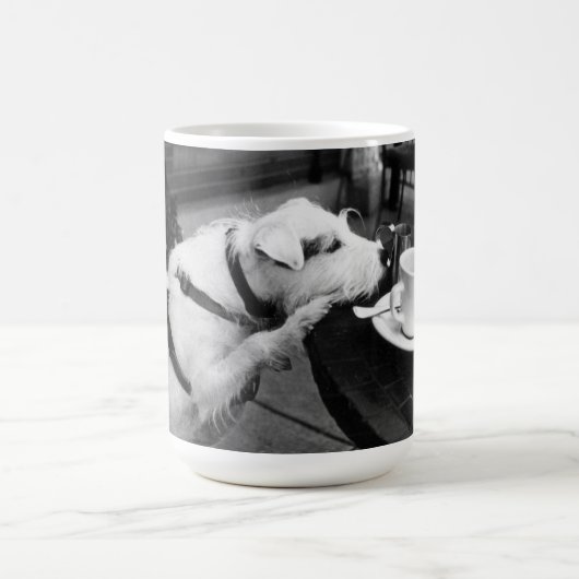 Mok van Manny (Center)