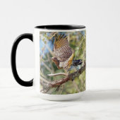 Mok van Northern Flicker Birdwatch (Links)