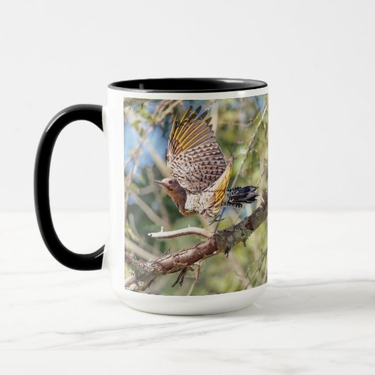 Mok van Northern Flicker Birdwatch (Links)