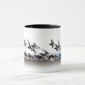 Mok van oestercatchers (Midden)