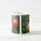 Mok van Oranje en rode tomaten (Center)