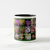 Mok van Orchid Lover (Center)