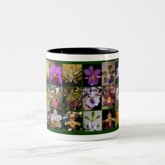 Mok van Orchid Lover (Center)